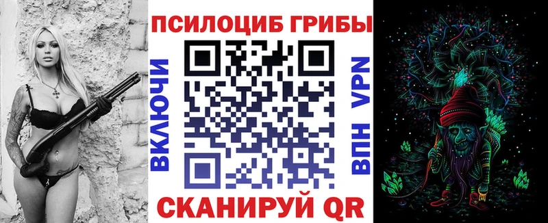 купить   кракен зеркало  Псилоцибиновые грибы мухоморы  darknet Telegram  Сенгилей 